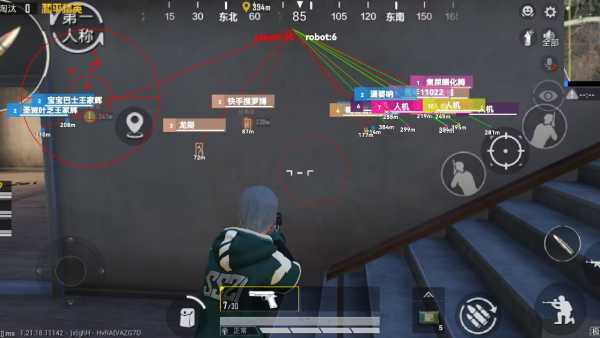 和平精英云翼辅助